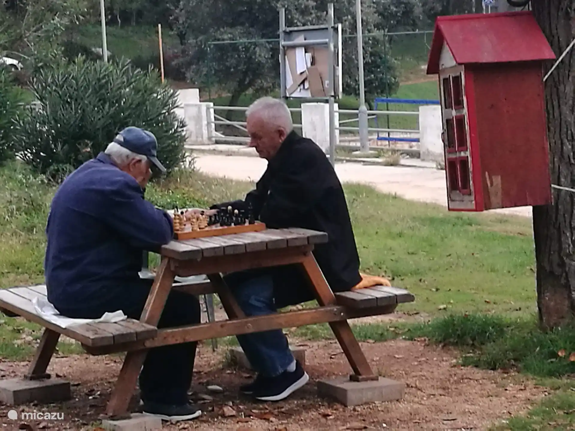 Hombres jugando al ajedrez en un parque