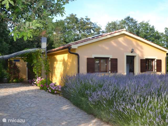 Holiday home in Croatia, Istria, Liznjan - holiday house Romantic Country House 'St. Petra'