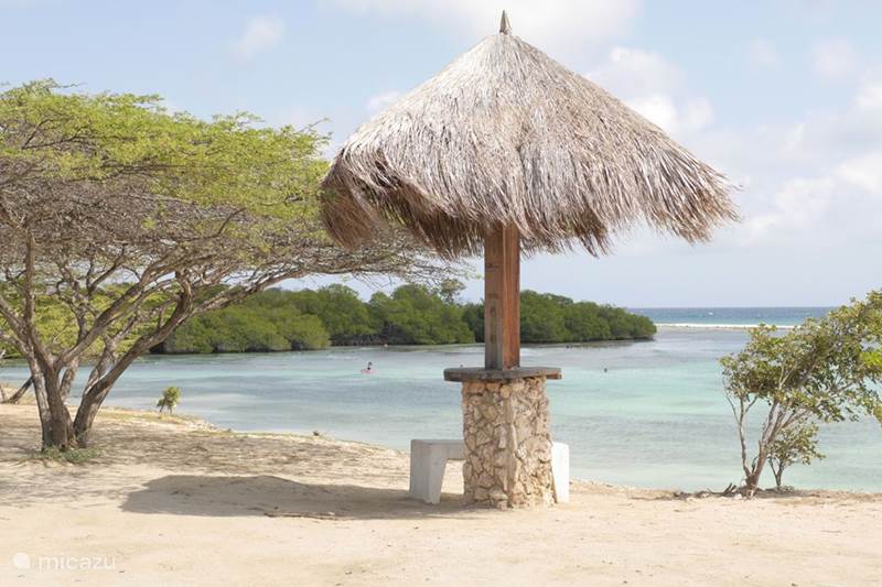 Vacation rental Aruba, Oranjestad, Balashi Apartment Courage Apartments - Rolando