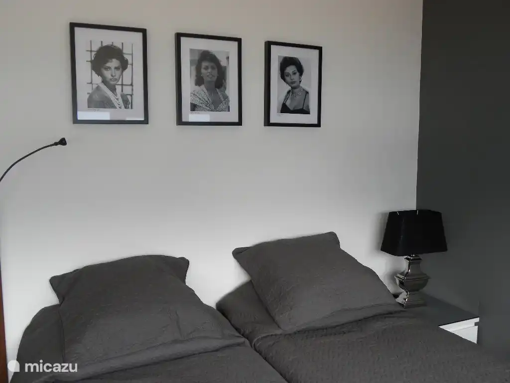 Desde su cama (somieres de 90x210) tiene una magnífica vista sobre el lago.