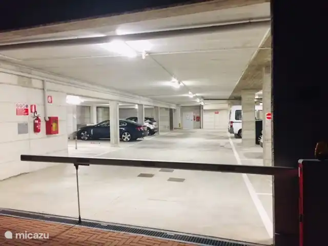 Tiene su propio espacio de estacionamiento reservado en el garaje.