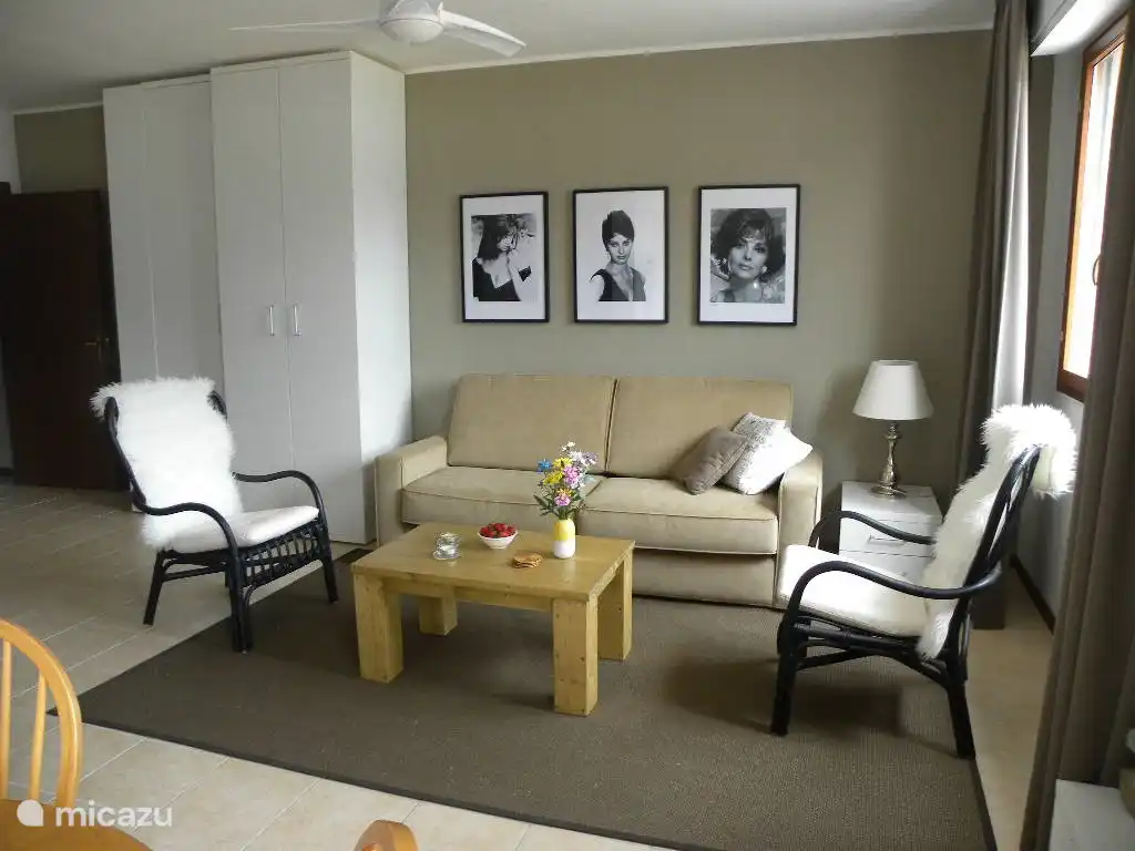 El estudio tiene una amplia sala de estar con sofá cama (160x200). Las grandes ventanas abatibles brindan impresionantes vistas del lago y las montañas.