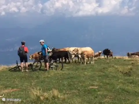 Grandes oportunidades de ciclismo en las montañas. En la zona se pueden alquilar bicicletas eléctricas de montaña.