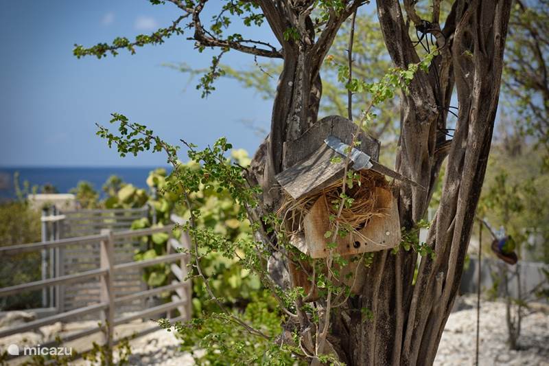 Holiday home Bonaire, Bonaire, Sabadeco  Gîte / Cottage  Crown Villas Ocean View