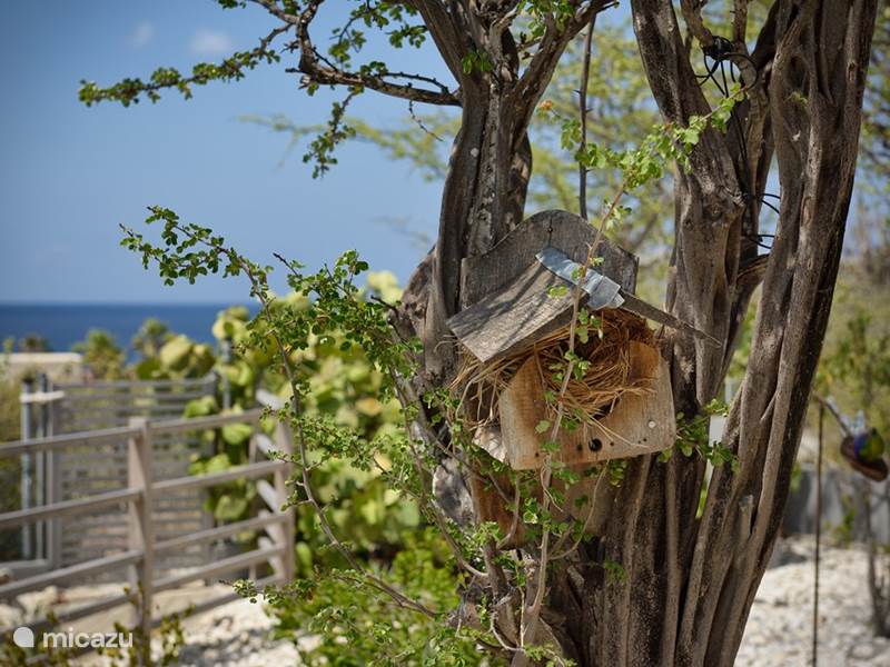 Vakantiehuis Bonaire, Bonaire, Sabadeco Gîte / Cottage Crown Villas OceanView