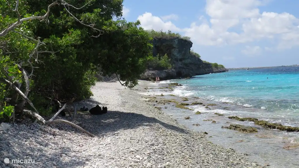 Strand op 2 minuten afstand