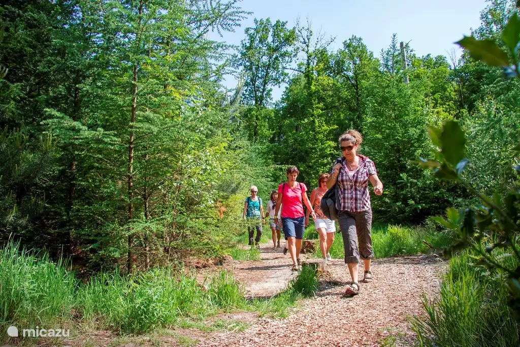 Eine schöne Kulisse!