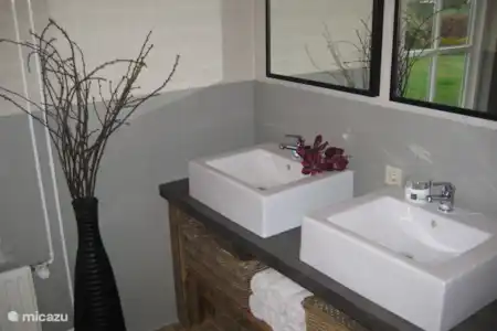Vakantiehuis Nederland, Noord-Brabant, Odiliapeel vakantiehuis Landgoed Bosrijk badkamer begane grond