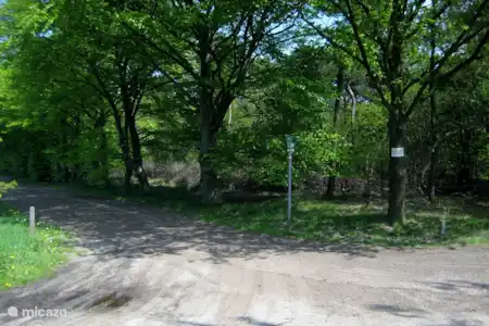 Vakantiehuis Nederland, Noord-Brabant, Odiliapeel vakantiehuis Landgoed Bosrijk Wandelroutes bij de deur.
