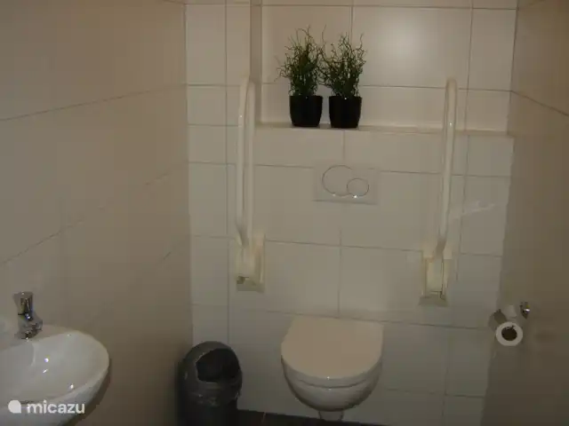 De Lansert huren in Nederland, Noord-Brabant, Vessem - vakantiehuis toilet begaande grond