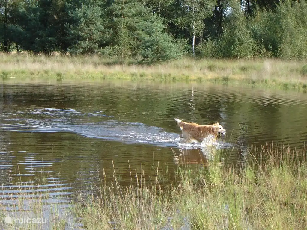 One of the fens in the immediate vicinity
