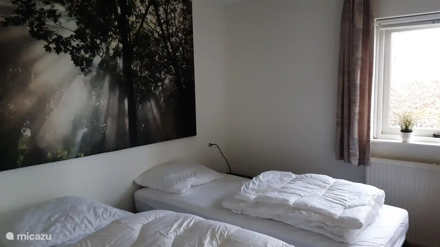 bedroom no. 2 downstairs