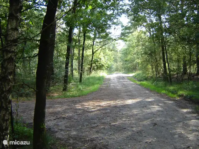 De Lansert huren in Nederland, Noord-Brabant, Vessem - vakantiehuis omgeving
