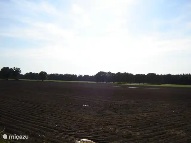 De Lansert huren in Nederland, Noord-Brabant, Vessem - vakantiehuis omgeving