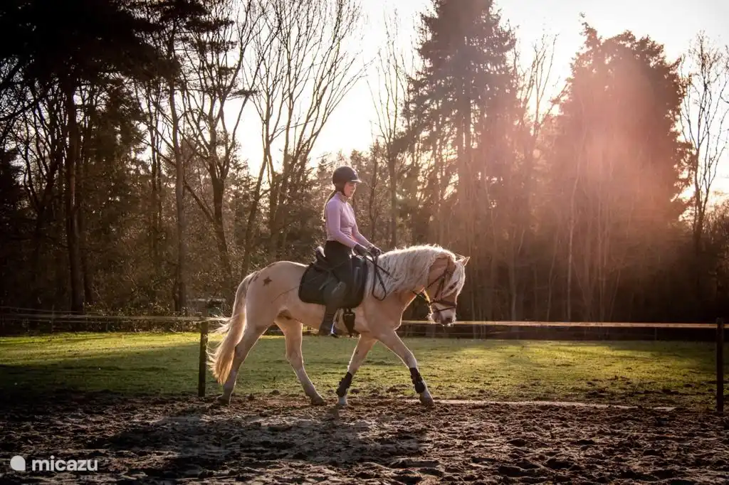 Riding in a riding arena at the Lansert