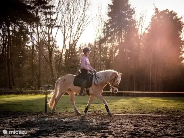 De Lansert huren in Nederland, Noord-Brabant, Vessem - vakantiehuis Paardrijden in rijbak bij de Lansert