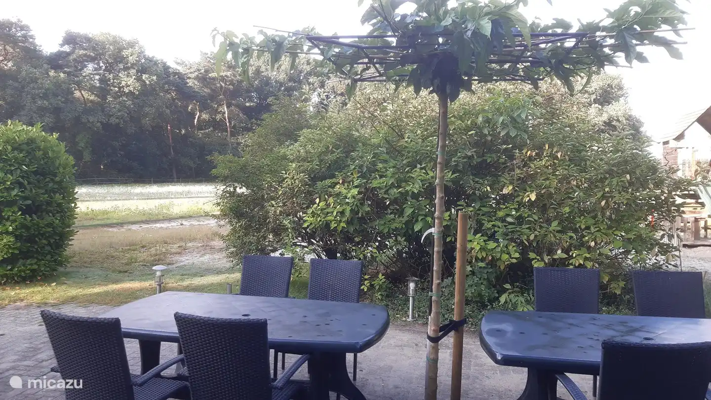 View from the living room.