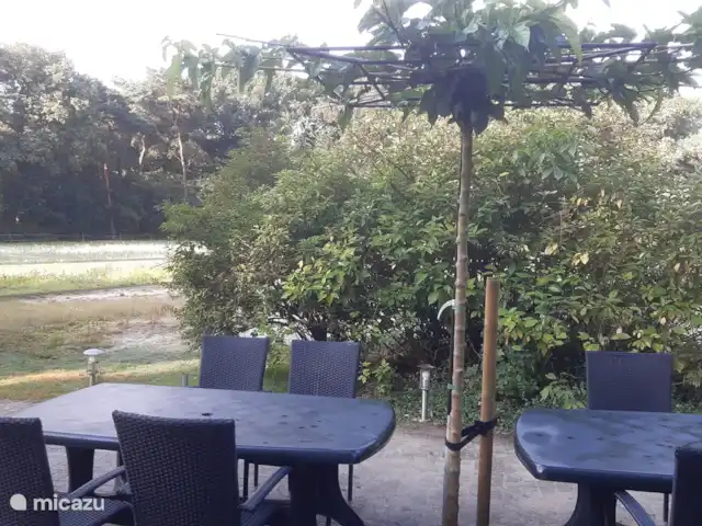 De Lansert huren in Nederland, Noord-Brabant, Vessem - vakantiehuis Uitzicht vanuit de woonkamer.