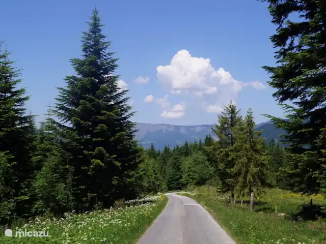 vakantiehuis huren in Oostenrijk, Salzburgerland, Annaberg – Haus Boris Omgeving van ons huis.