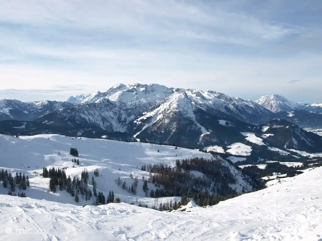 Haus Boris