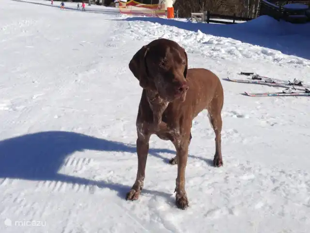 vakantiehuis huren in Oostenrijk, Salzburgerland, Annaberg – Haus Boris Haus 'Boris'