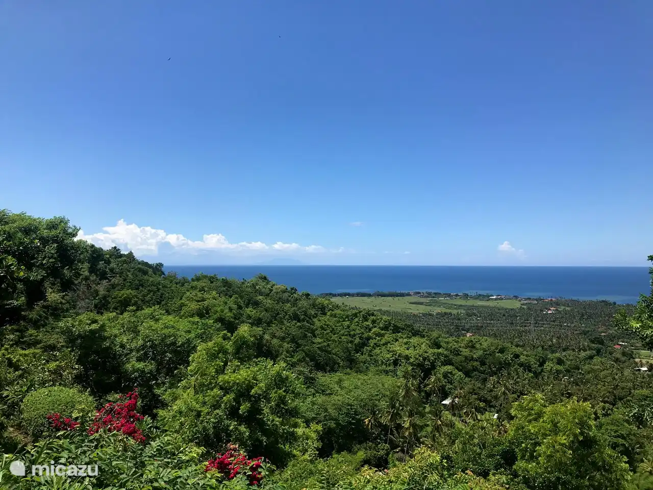 Vista: verde fresco en época de lluvias