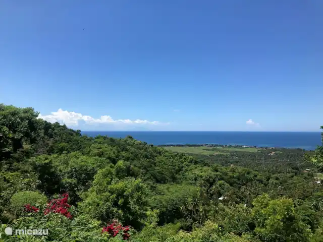 Location de Vacances Indonésie, Bali, Lovina, villa - Villa Sarah Nafi, Nord de Bali Lovina Vue : vert frais en saison des pluies