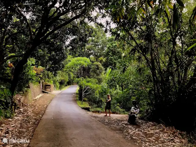 Location de Vacances Indonésie, Bali, Lovina, villa - Villa Sarah Nafi, Nord de Bali Lovina La route avec route secondaire à la maison