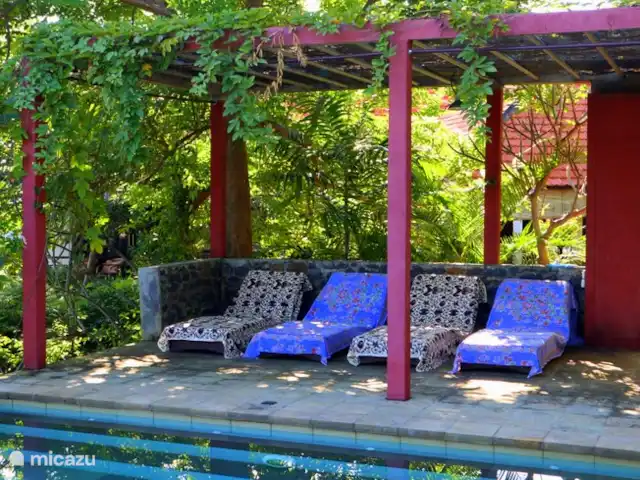 Location de Vacances Indonésie, Bali, Lovina, villa - Villa Sarah Nafi, Nord de Bali Lovina Terrasse piscine