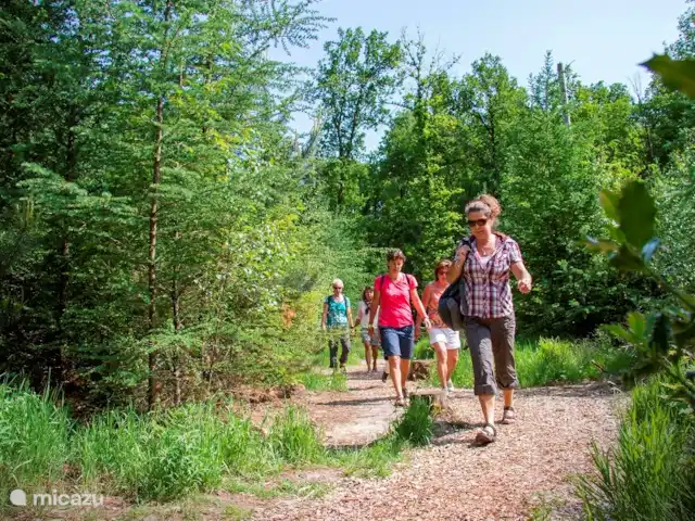 Arcoíris que incluye kota finlandesa en Países Bajos, Overijssel, Losser - casa vacacional Un hermoso entorno. El corazón verde del Twente.