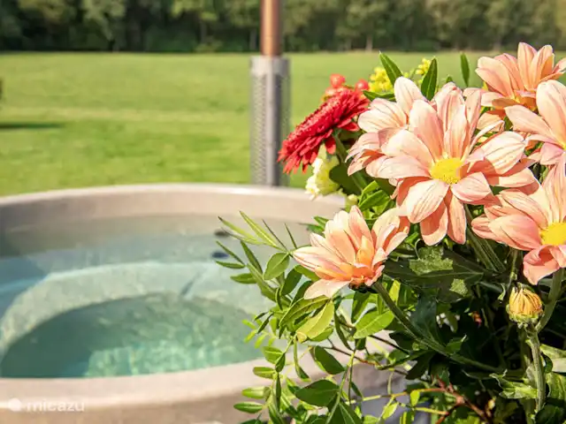 Arcoíris que incluye kota finlandesa en Países Bajos, Overijssel, Losser - casa vacacional