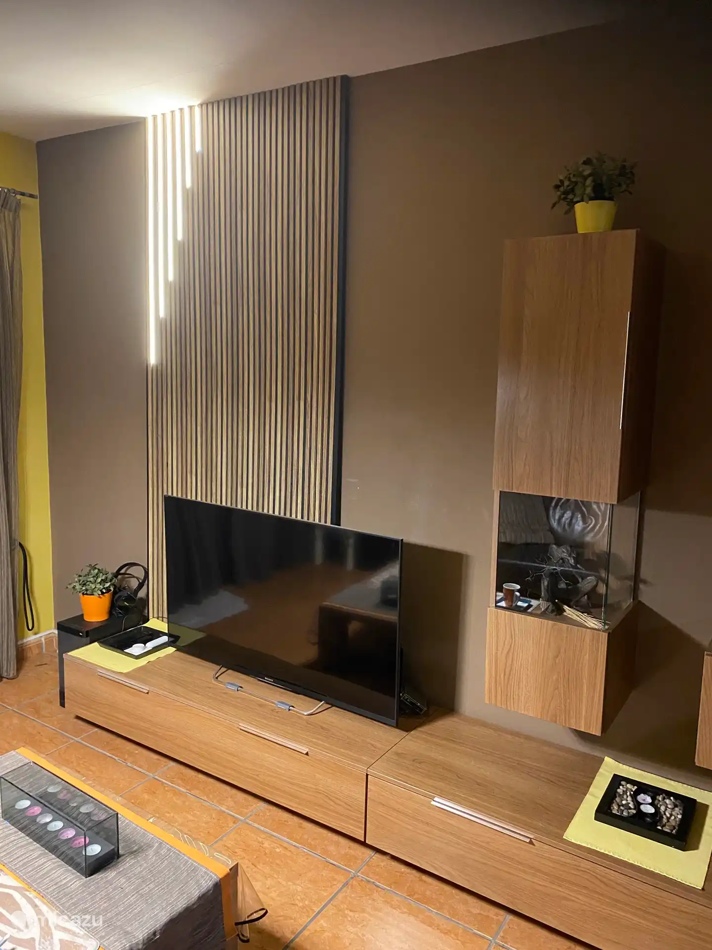 Grande télévision avec chromecast 101