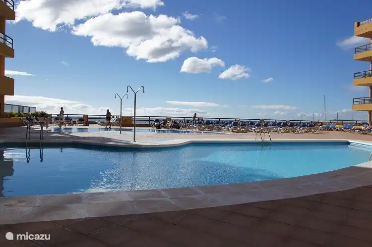 Der beheizte Swimmingpool