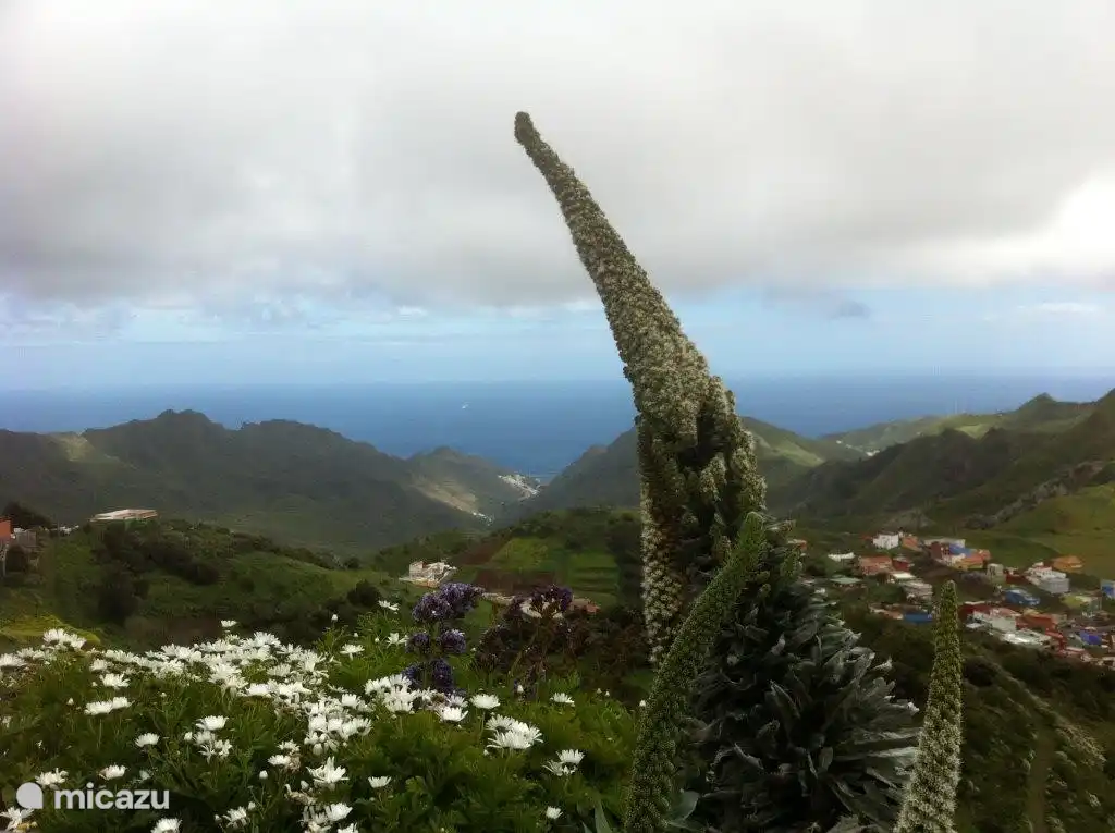 atemberaubende Landschaft auf der Insel Teneriffa,  Foto bei einem Ausflug in die Berge genommen