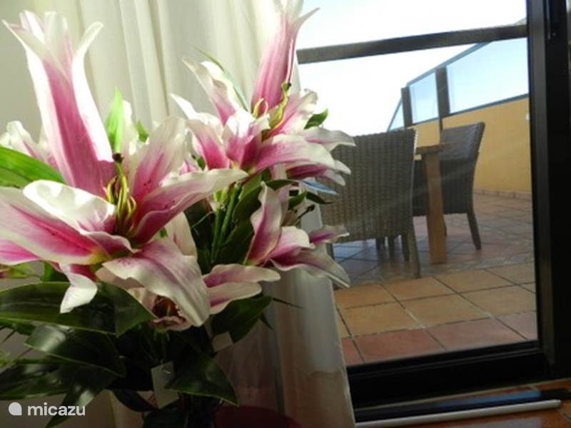 Holiday home in Spain, Tenerife, Golf del Sur Apartment Apart with stunning seaview Tenerife