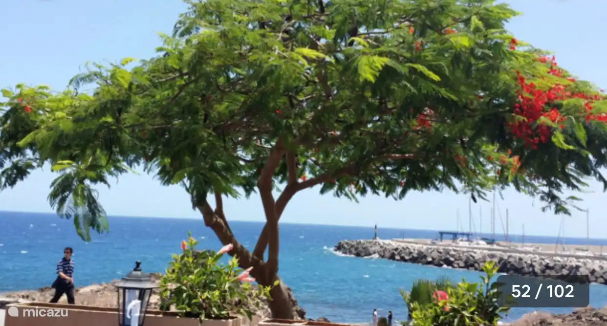 Gehweg am Meer entlang