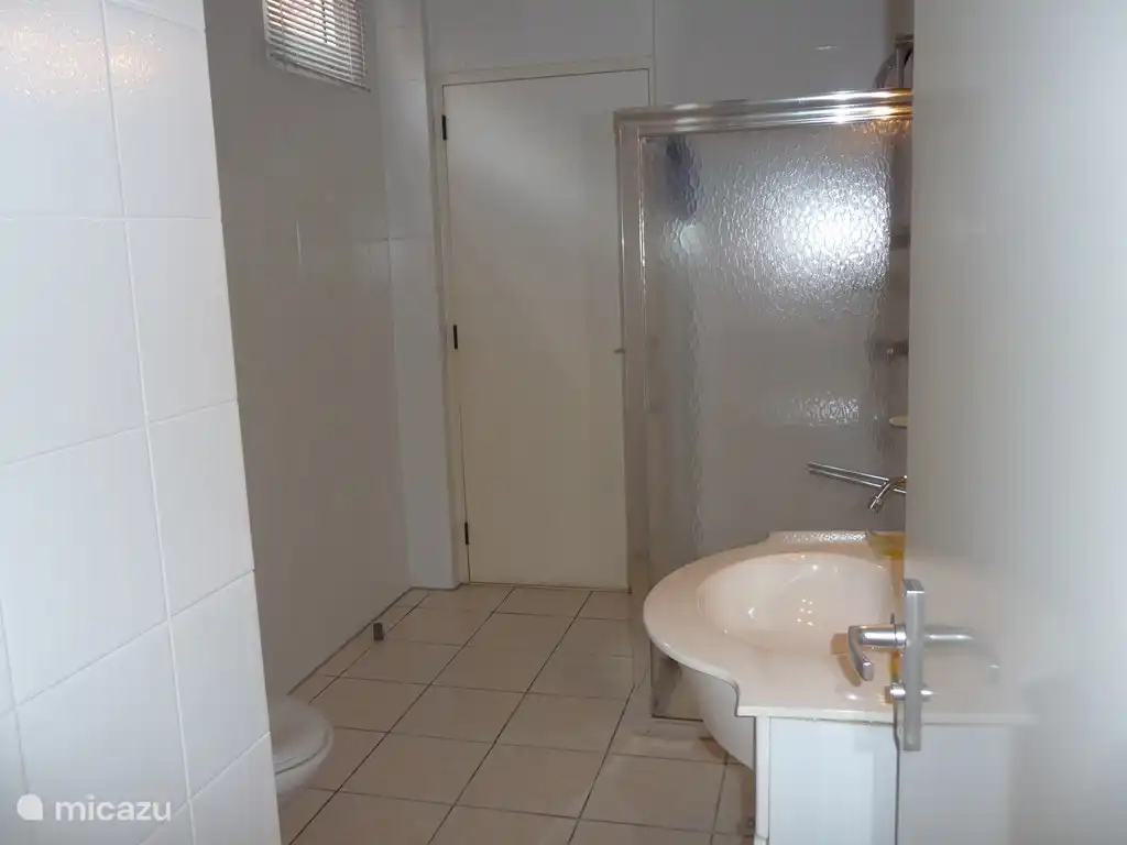 1e badkamer met inloopdouche, wastafelmeubel en toilet