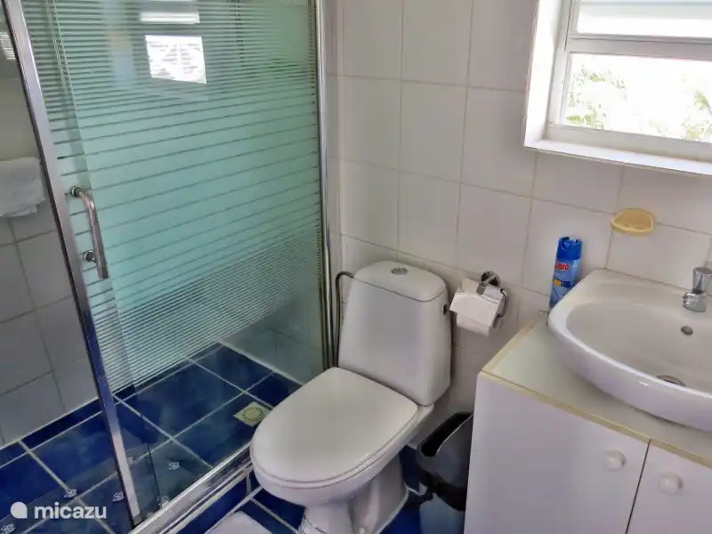 Salle de bain (à l'étage) avec un geyser.