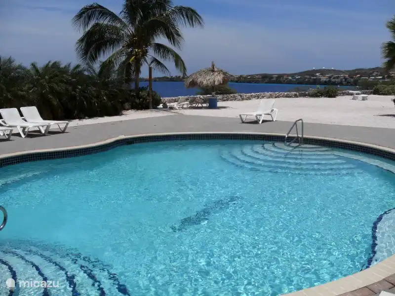 La piscine est très propre. Vous pouvez bronzer ou vous allonger sous le belvédère à l'abri du soleil.