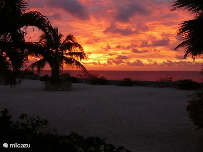 Un de nos magnifiques coucher de soleil