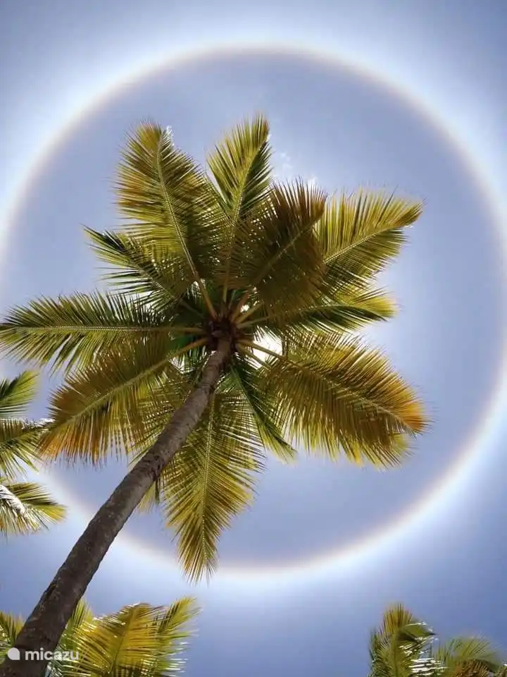 Un 'auréole' dans le beau ciel.