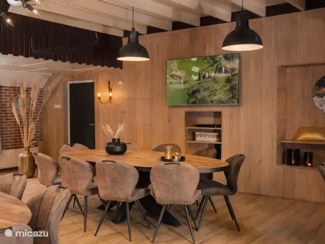 Flint avec Kota finlandais et bain à remous | Pays-Bas, Overijssel, Losser - maison de vacances Salon avec TV. L’ordinateur portable peut être connecté au téléviseur via une connexion HDMI.