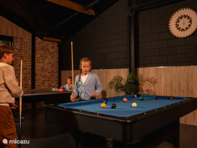 Flint avec Kota finlandais et bain à remous | Pays-Bas, Overijssel, Losser - maison de vacances Billards de billard