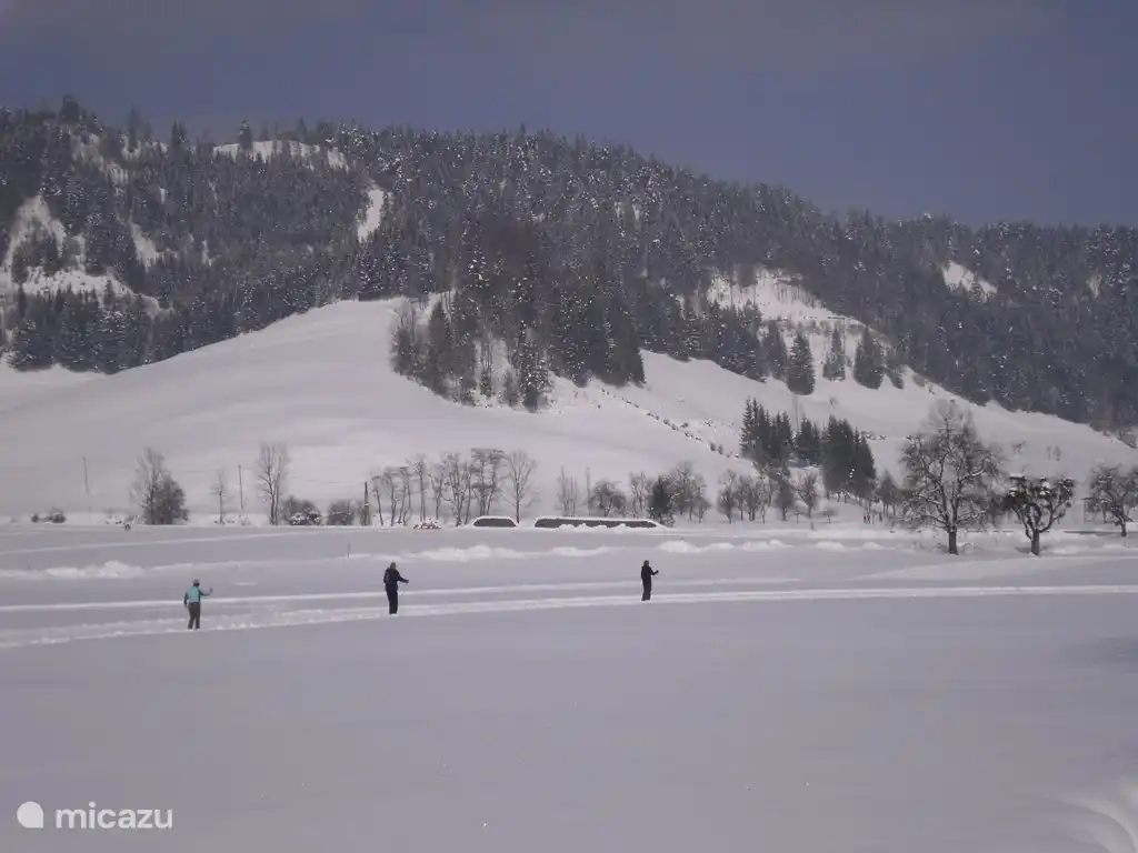 One of the many cross-country ski trails: Proling, a sunny trail, not too difficult