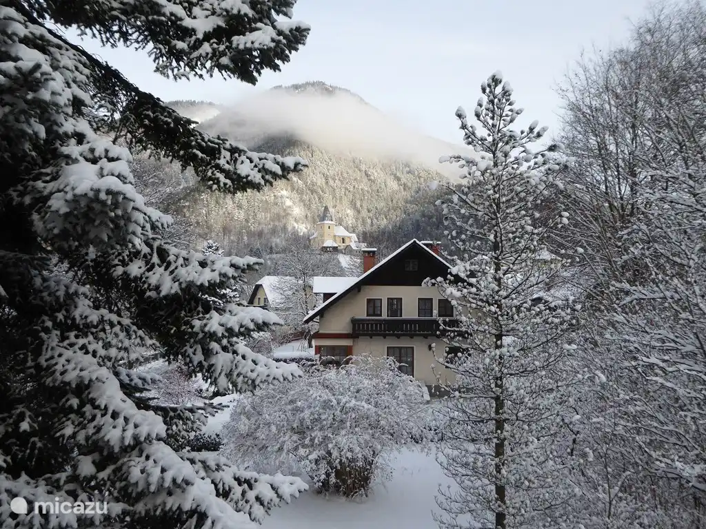 View of the garden from the living room.