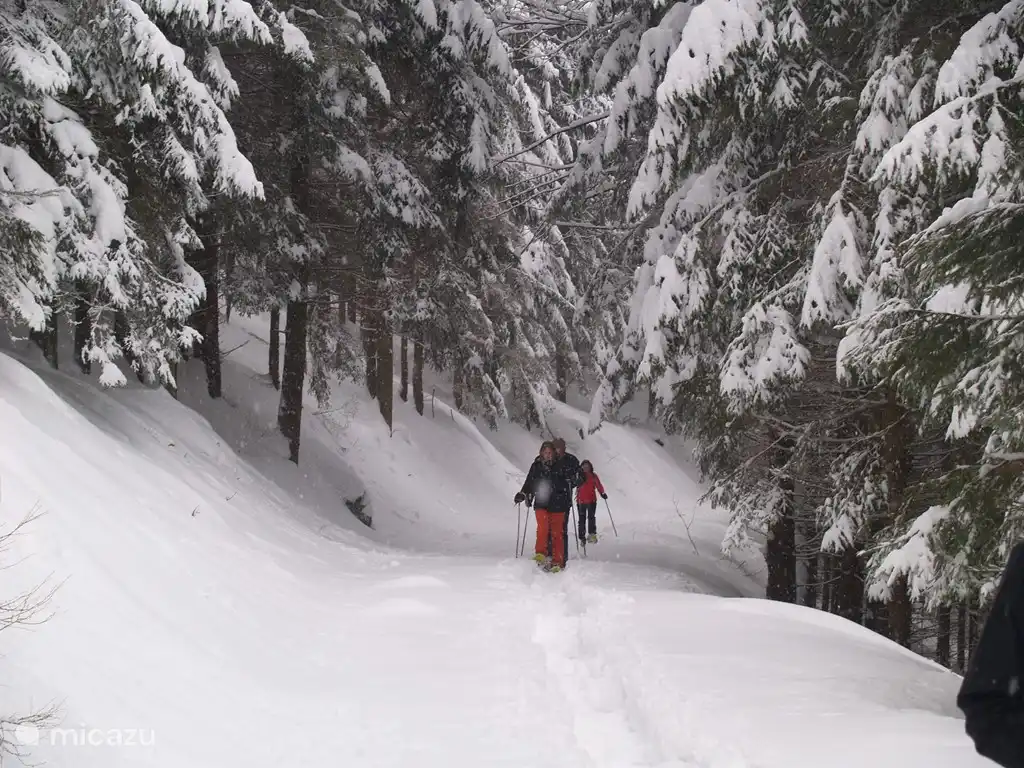 Snowshoe walk on the Konigsberg
