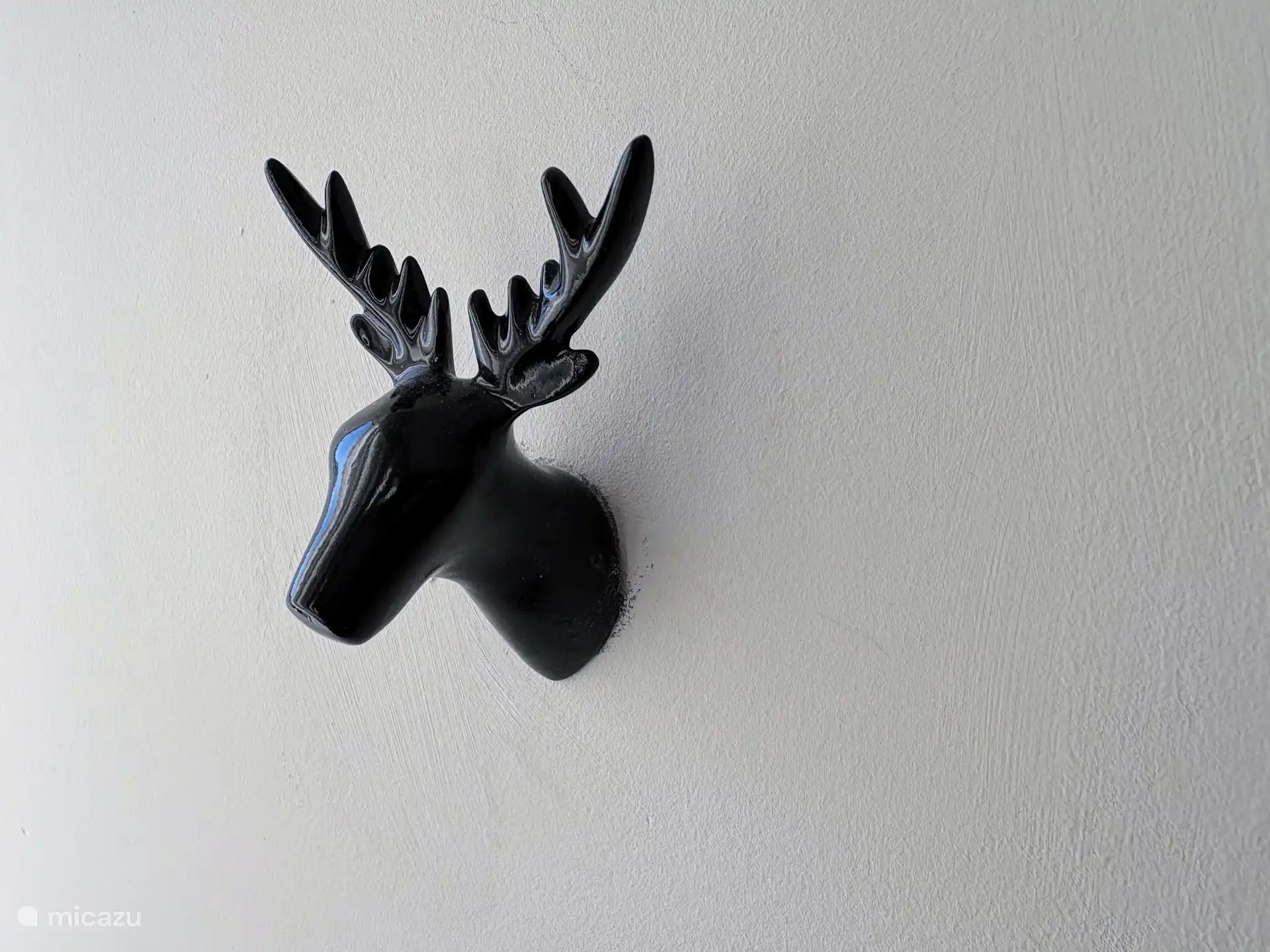 Detalle del interior