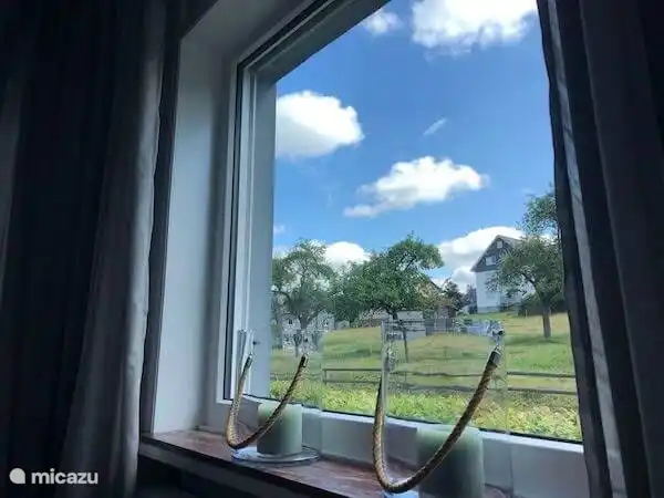 Vista desde el invernadero. En verano las vacas pastan al otro lado. Siempre hay algo que ver y qu&#233; re&#237;r...