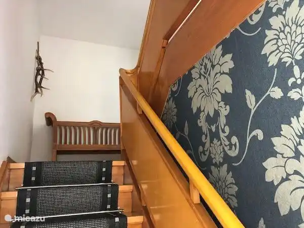 Las escaleras al primer piso. Amplio y bellamente forrado.