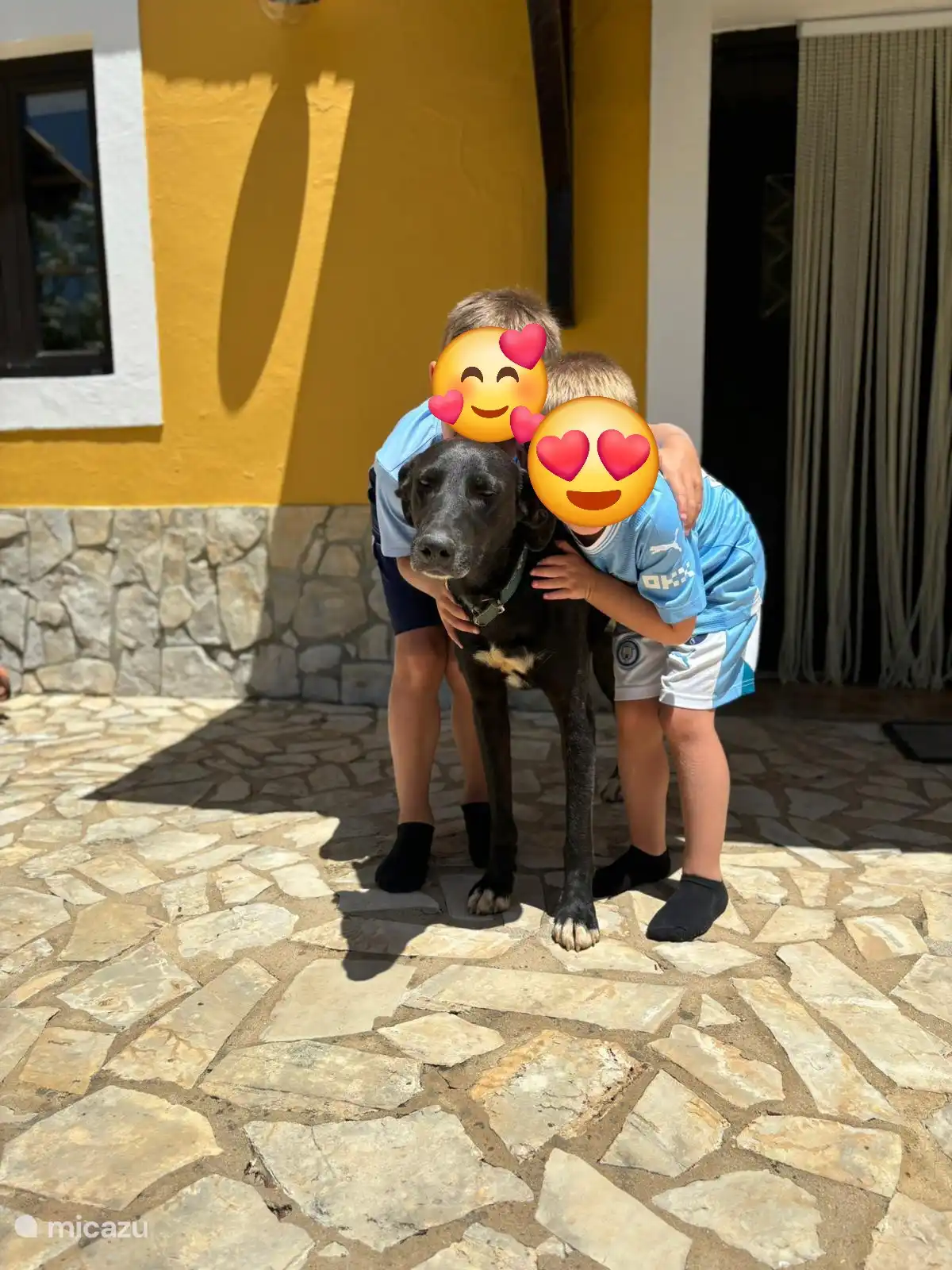 Buddy, el perro del barrio